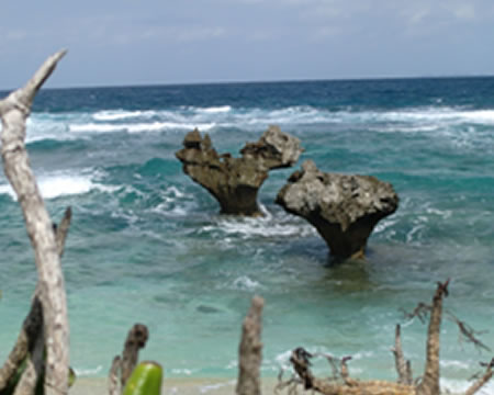 沖縄研修風景